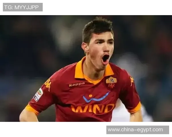 埃及足球明星前十名盘点他们如何在绿茵场上书写传奇