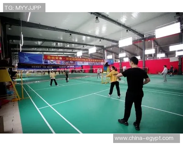 成都羽毛球队在冠军赛中的意识表现分析与总结